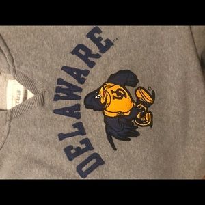 University of Delaware Hoodie